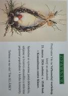 pzvánka na workshop